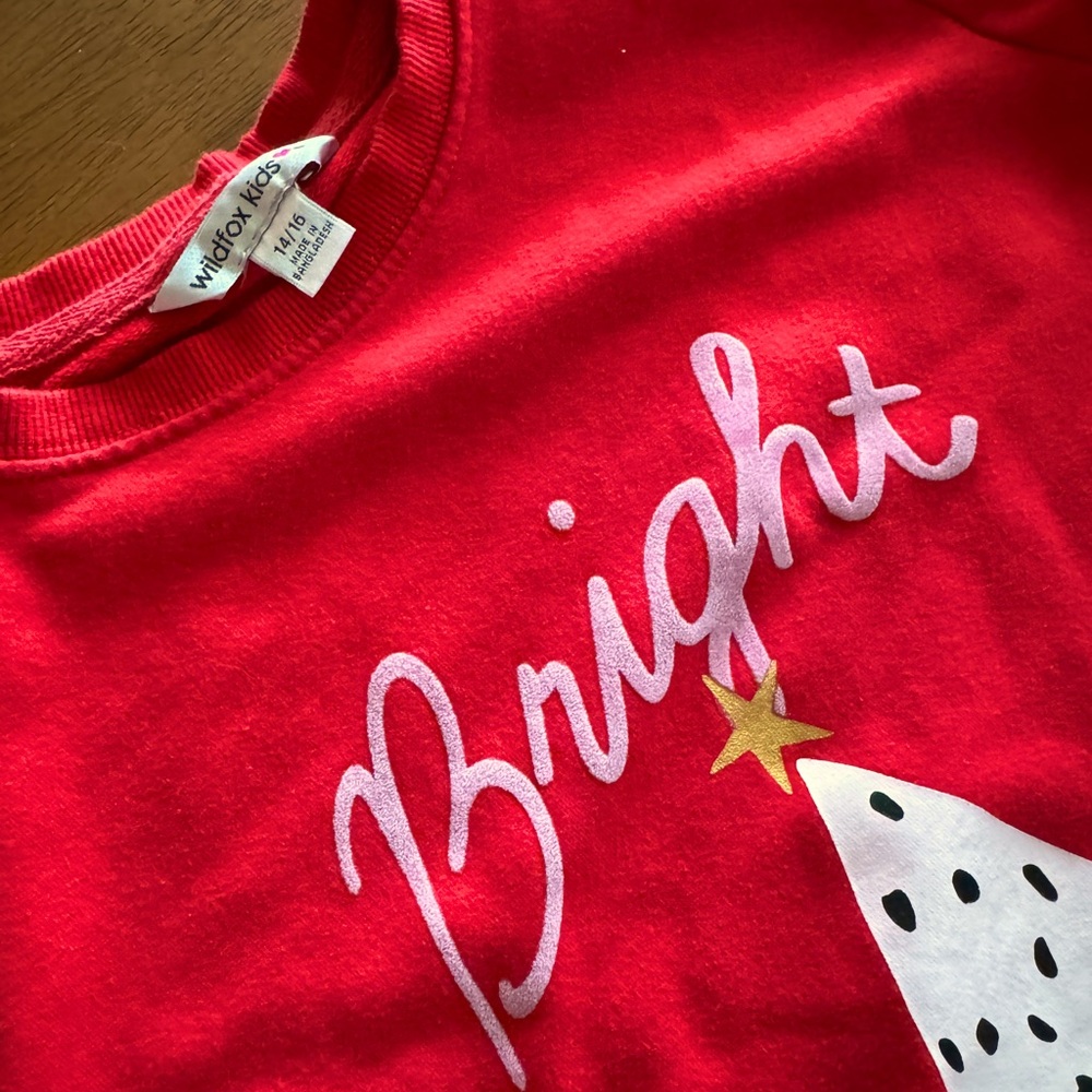 Girl’s 14/16 holiday sweater